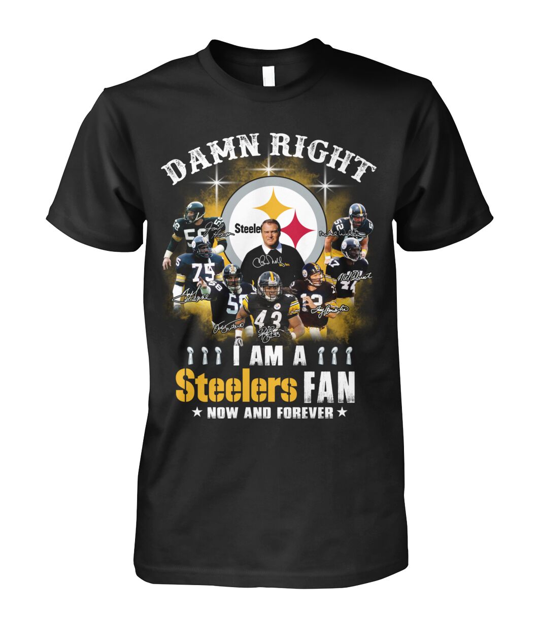Pittsburgh Steelers damn right i am a Steelers fan 3d shirt hoodie 1