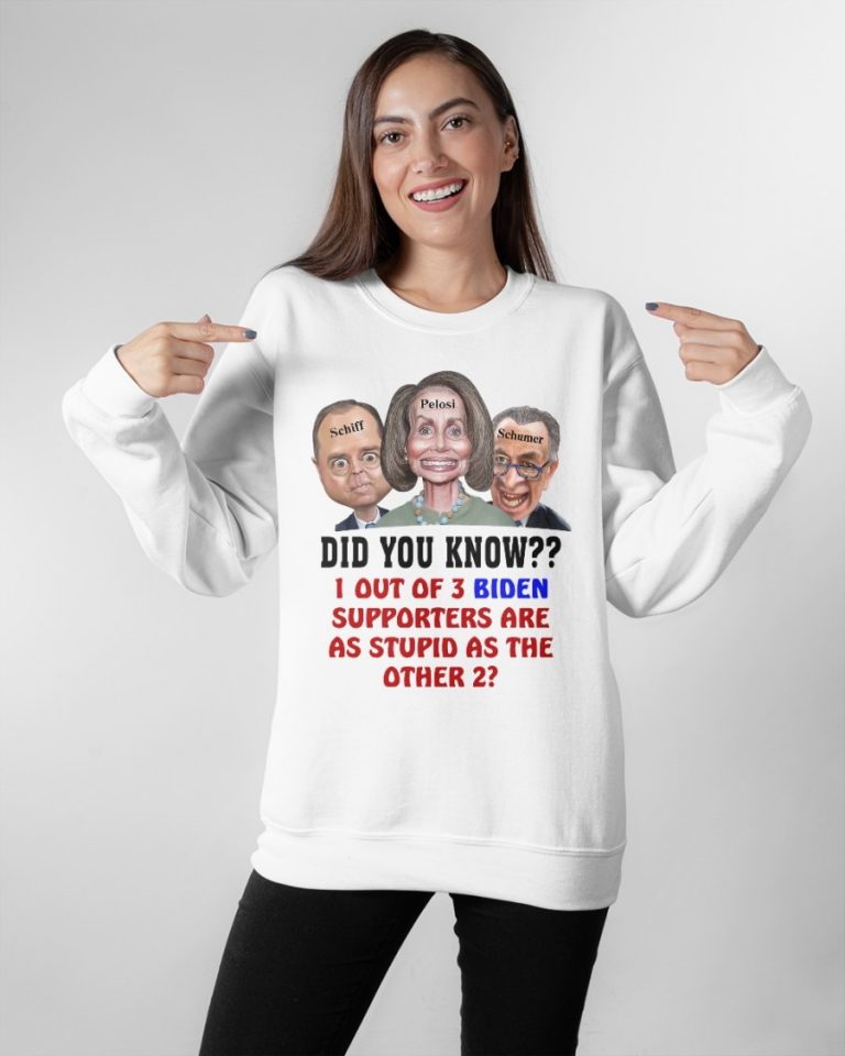 Schiff Pelosi Schumer did you know 1 out of 3 Biden supporters are as stupid as the other 2 shirt, hoodie 2