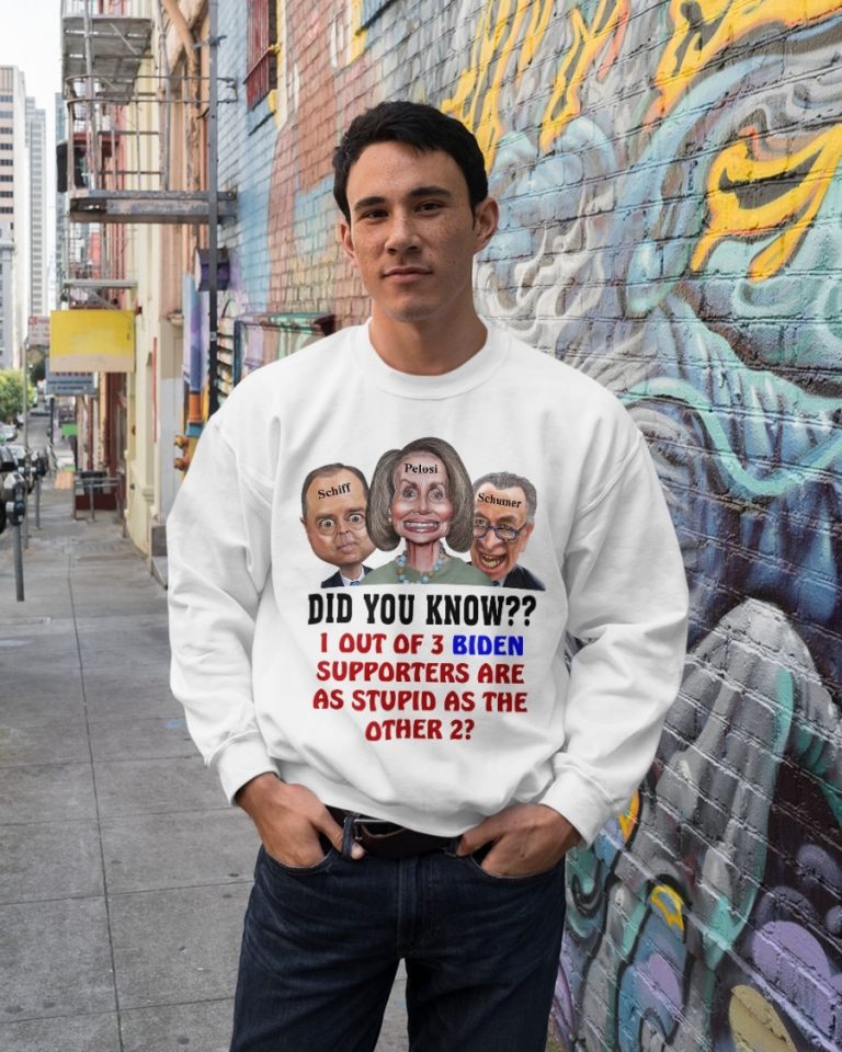 Schiff Pelosi Schumer did you know 1 out of 3 Biden supporters are as stupid as the other 2 shirt, hoodie 3