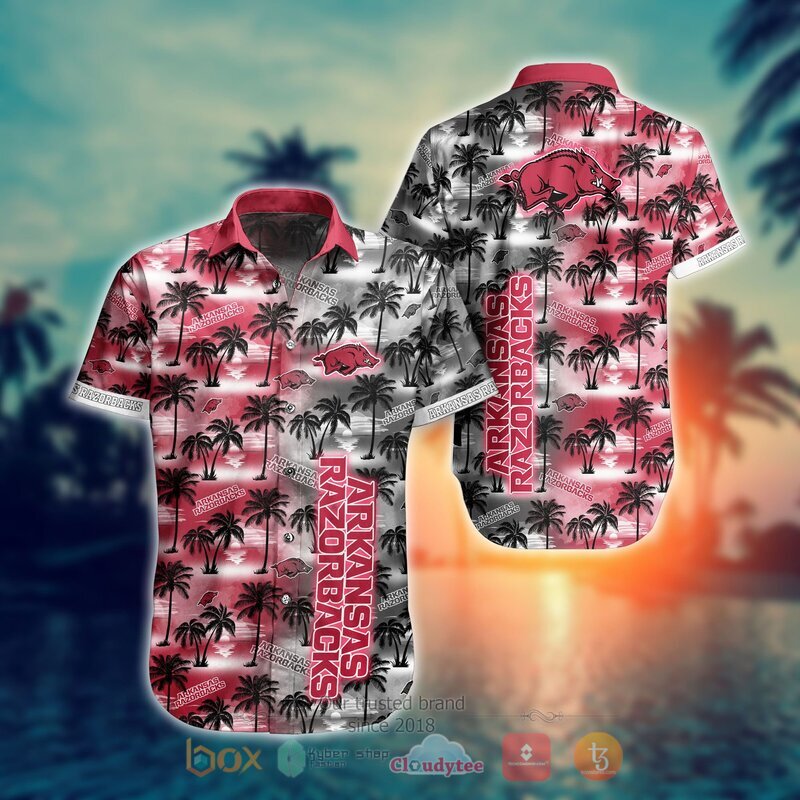 Arkansas Razorbacks Style NCAA Hawaiian shirt, Short 9