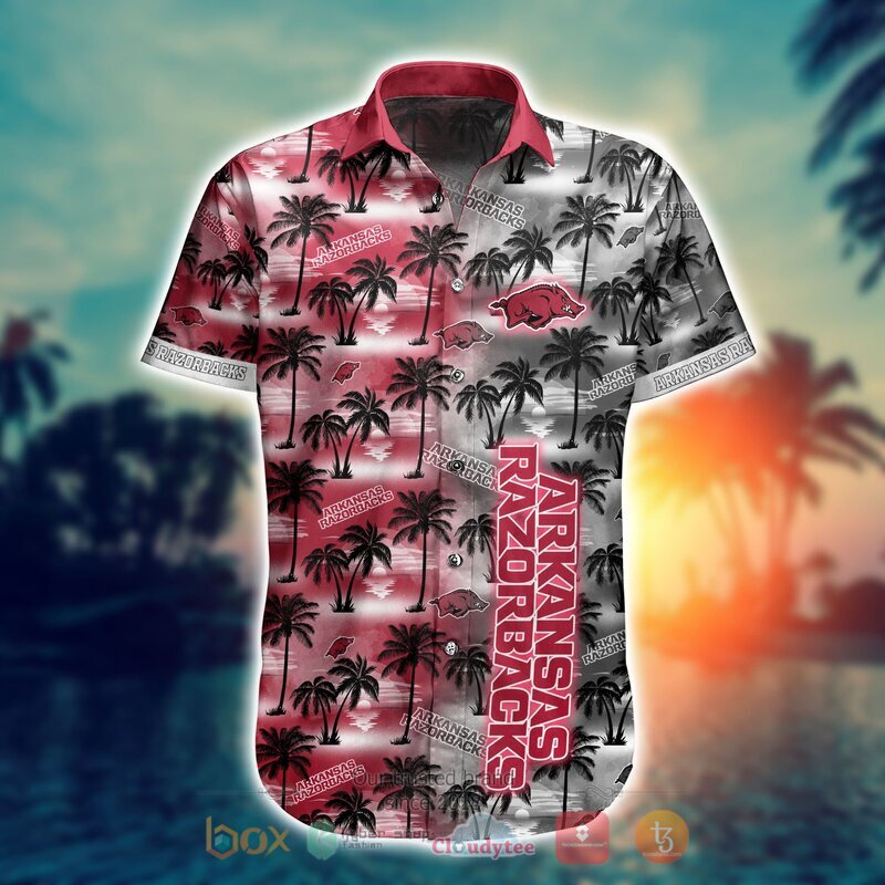 Arkansas Razorbacks Style NCAA Hawaiian shirt, Short 5