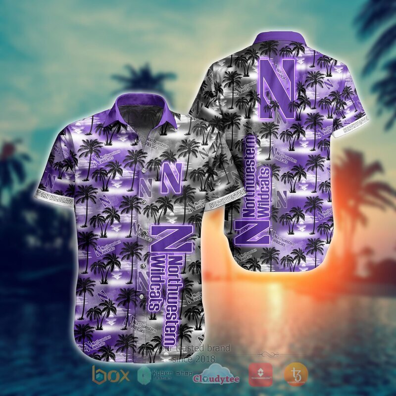 Northwestern Wildcats Style NCAA Hawaiian shirt, Short 10