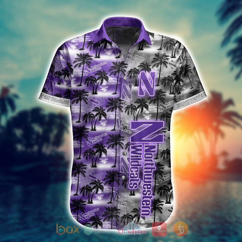Northwestern Wildcats Style NCAA Hawaiian shirt, Short 14