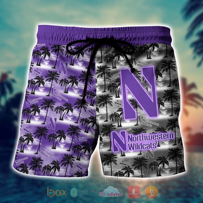 Northwestern Wildcats Style NCAA Hawaiian shirt, Short 4