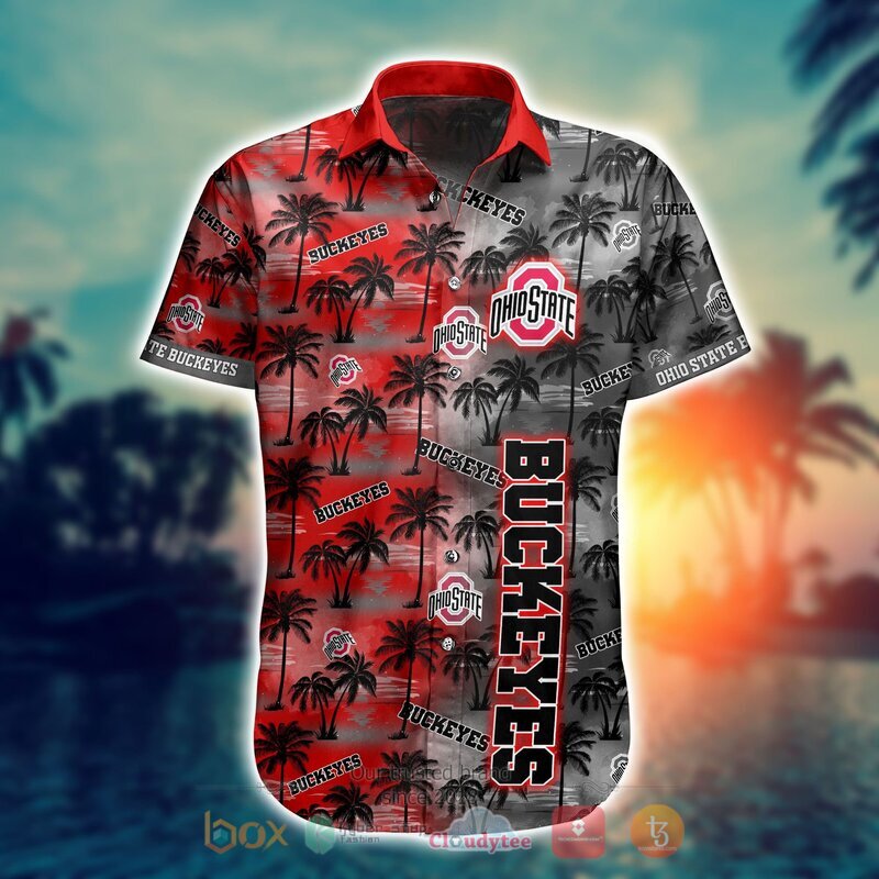 Ohio State Buckeyes Style NCAA Hawaiian shirt, Short 14