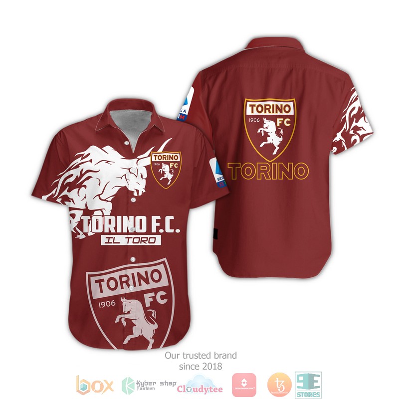 NEW Torino FC 1906 full printed shirt, hoodie 7