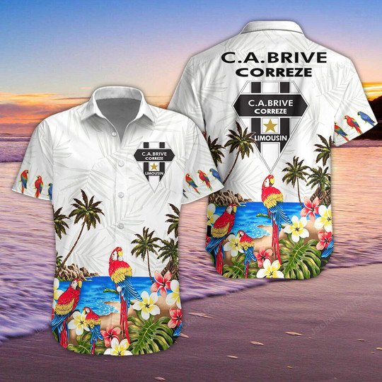 CA Brive parrot Hawaiian Shirt 4