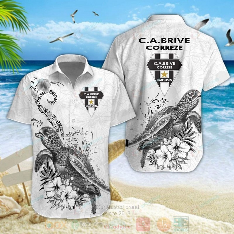 STYLE CA Brive Turtle Shorts Sleeve Hawaii Shirt, Shorts 4