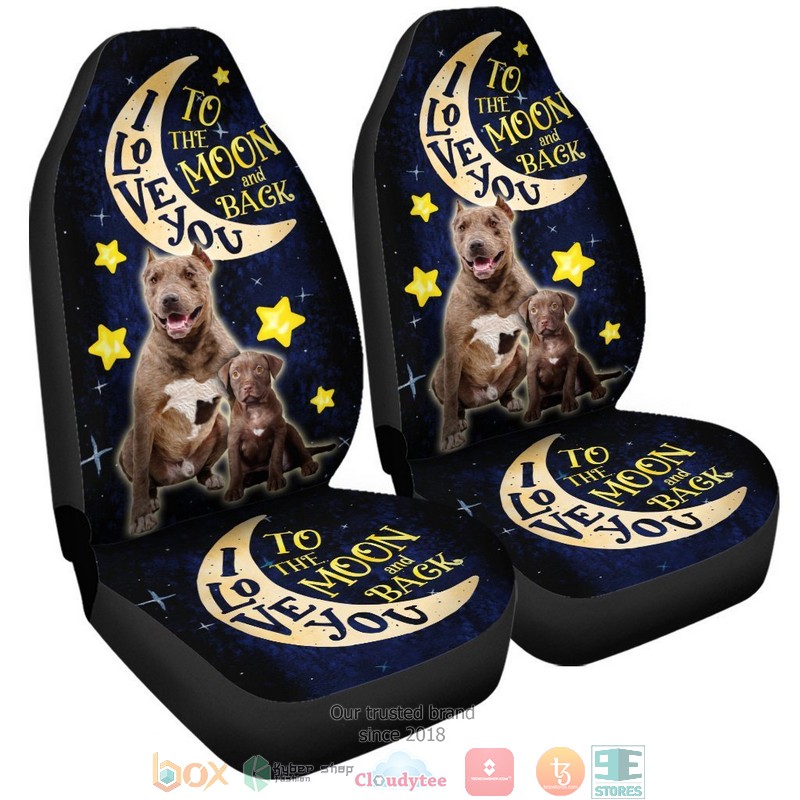 BEST Dad And Son Pibull I Love You To The Moon And Back Car Seat Cover 4
