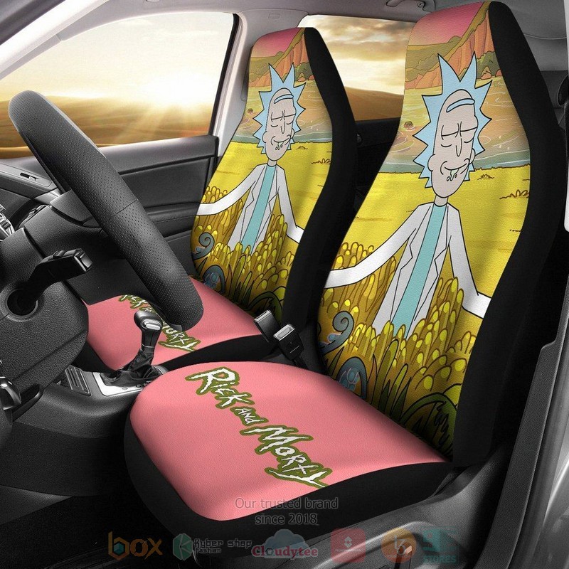 BEST Rick And Morty Rick High Moment In The Field Car Seat Covers 9