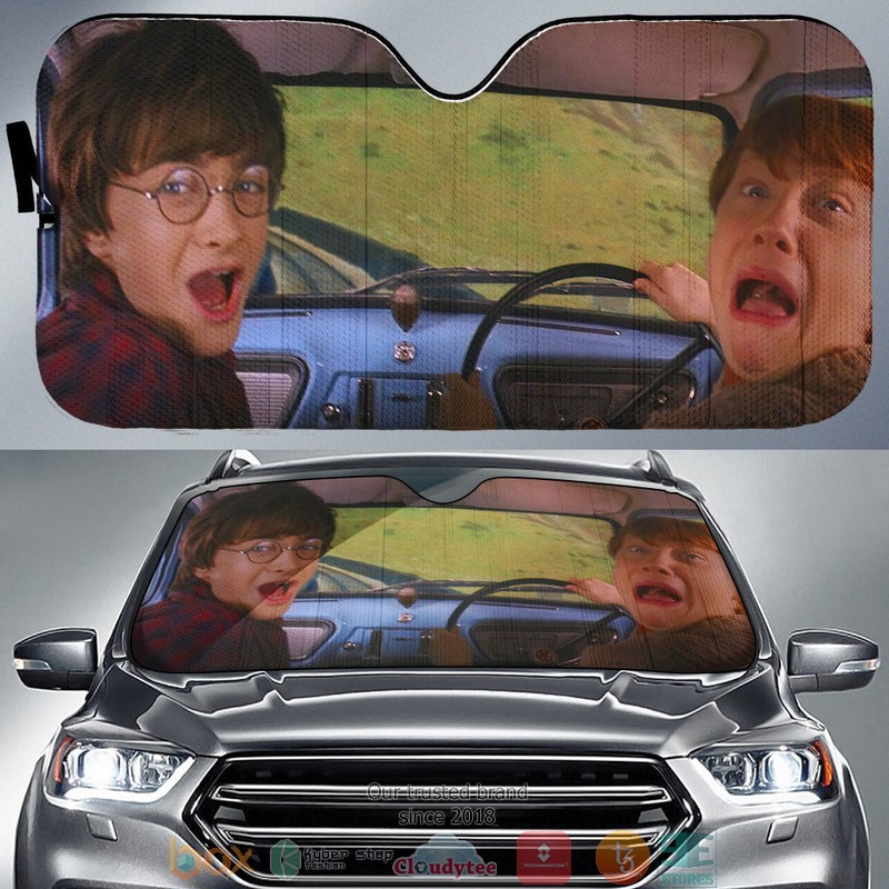 BEST Ron and Harry Potter 3D Car Sunshades 6