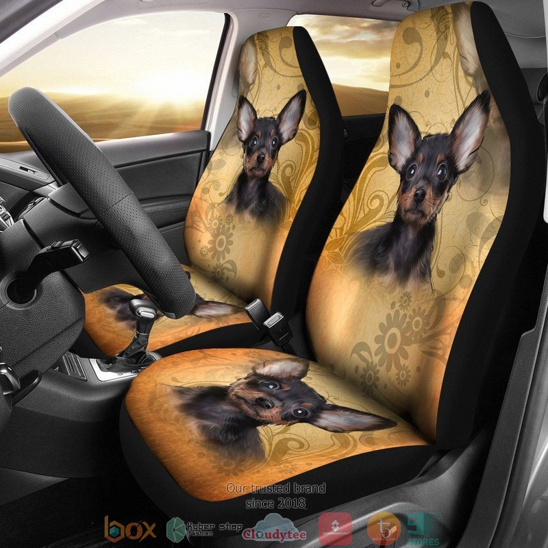 BEST Vintage Chihuahua Dog Car Seat Cover 8