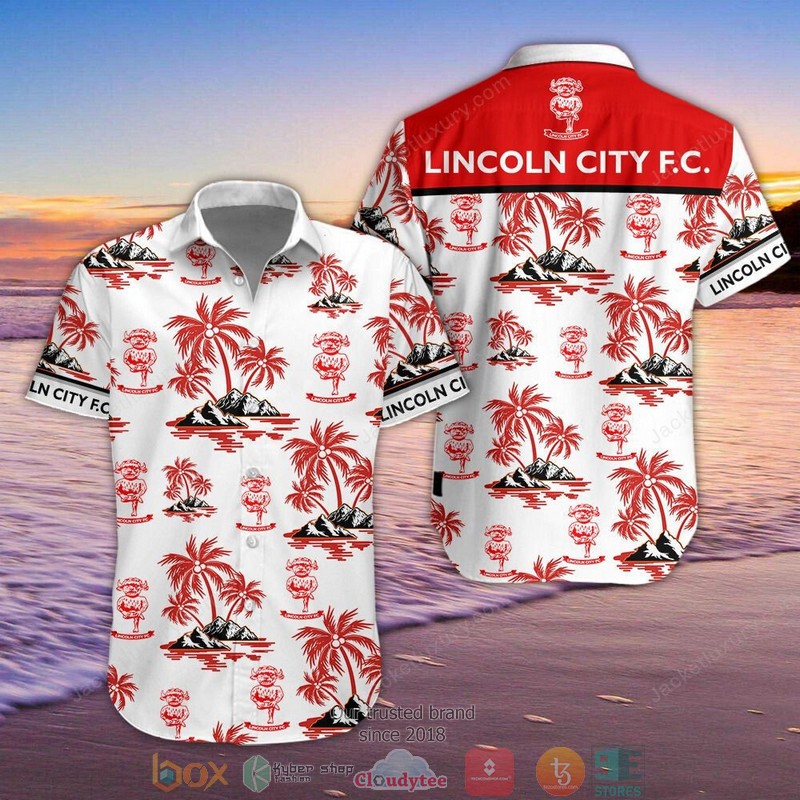 Lincoln City 3D Hawaiian Shirt, Shorts 6