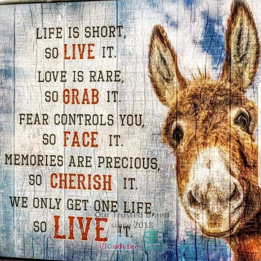 BEST Donkey Life is Short So live it poster 10