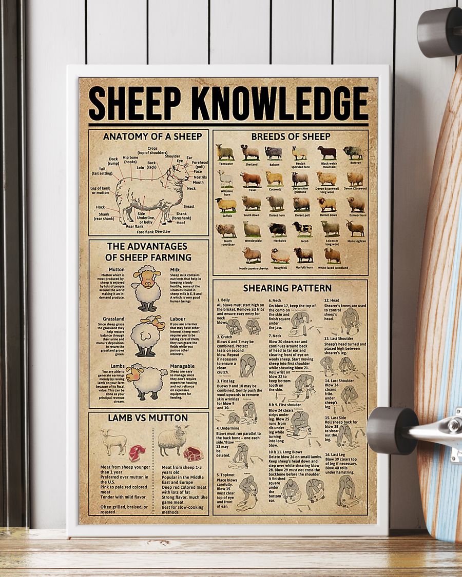 BEST Sheep Knowledge And Shearing Poster 2