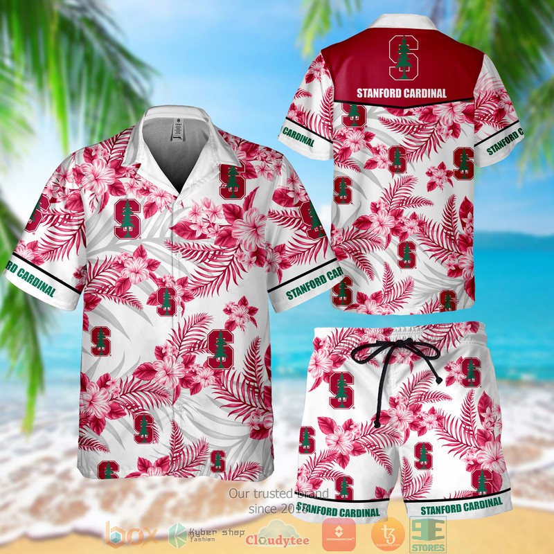 Best Hawaiian set comfortable for this summer 254