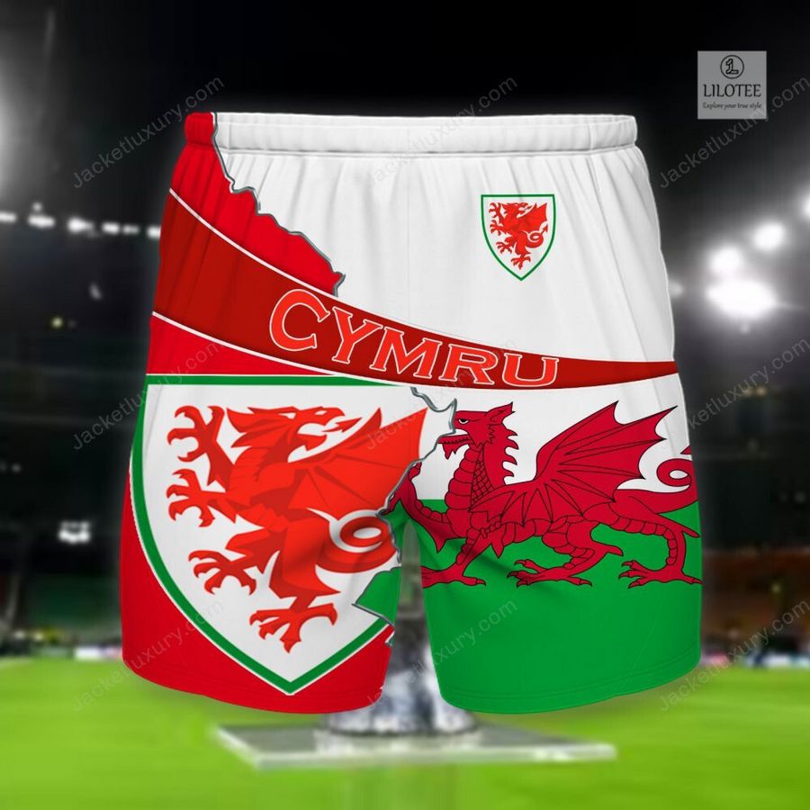 Wales national football team 3D Hoodie, Shirt 10