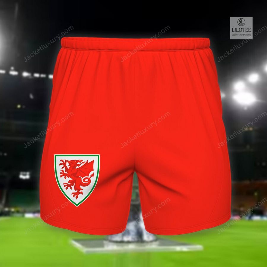 Wales Y Dreigiau national football team 3D Hoodie, Shirt 10