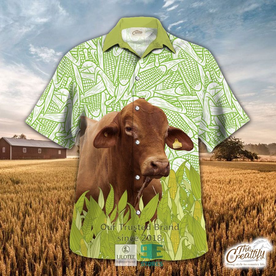 Brahman And Corn Pattern Hawaiian Shirt 9
