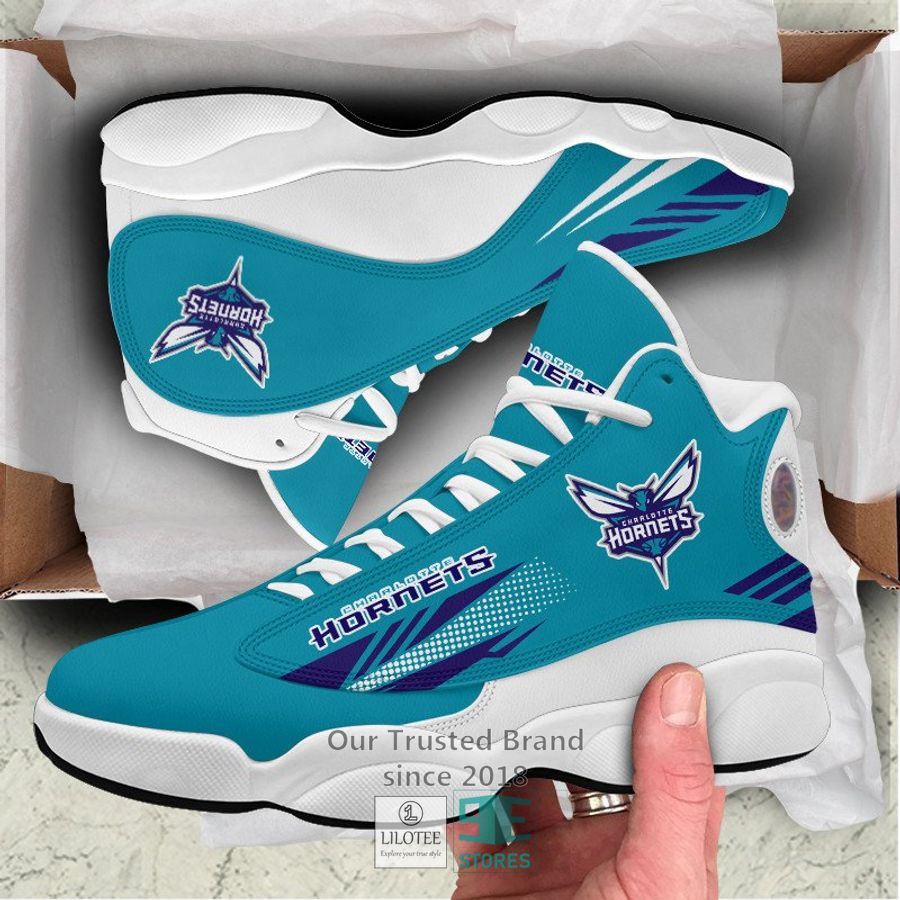 Charlotte Hornets Air Jordan 13 Sneaker 18