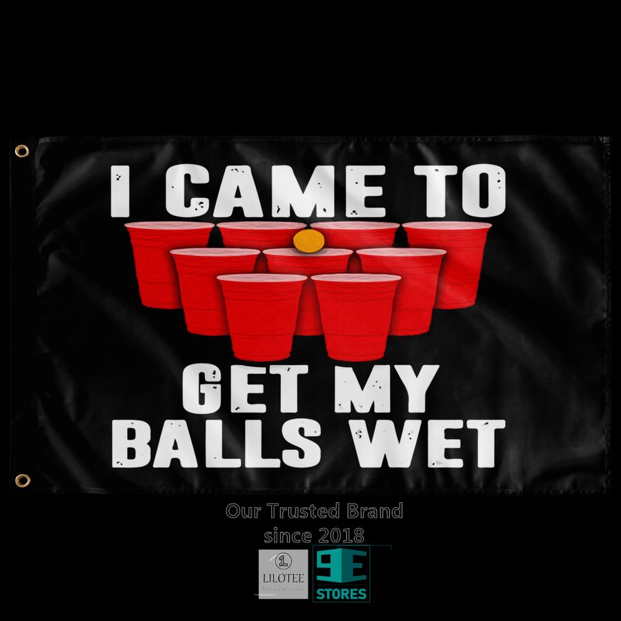 I Came To Get My Balls Wet Flag 5
