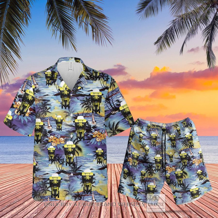 Top 200+ cool Hawaiian shirt and shorts for summer 298