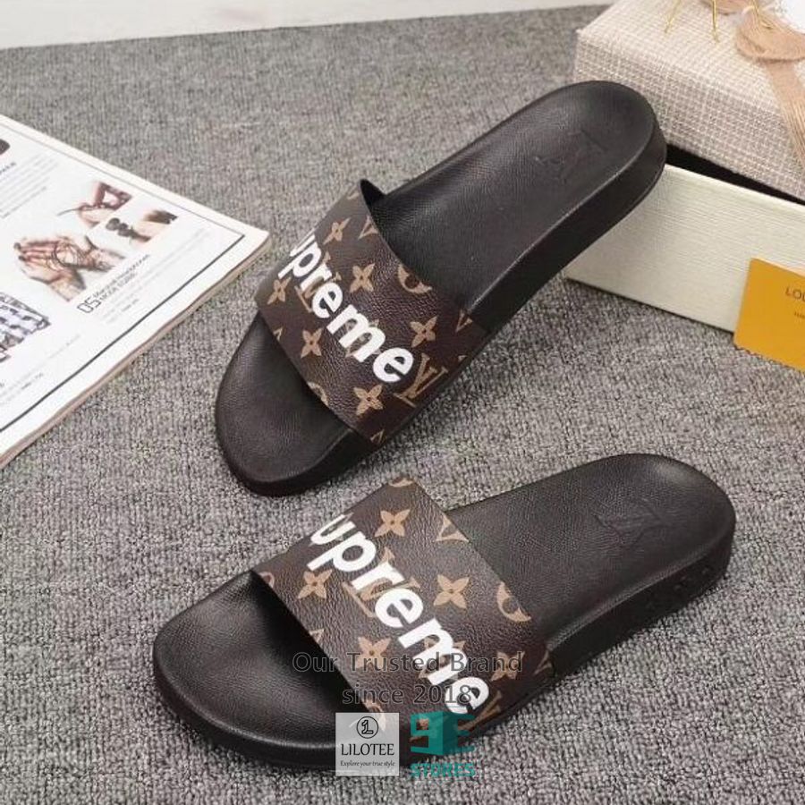 LV Louis Vuitton Supreme Brown Slide Sandal 3