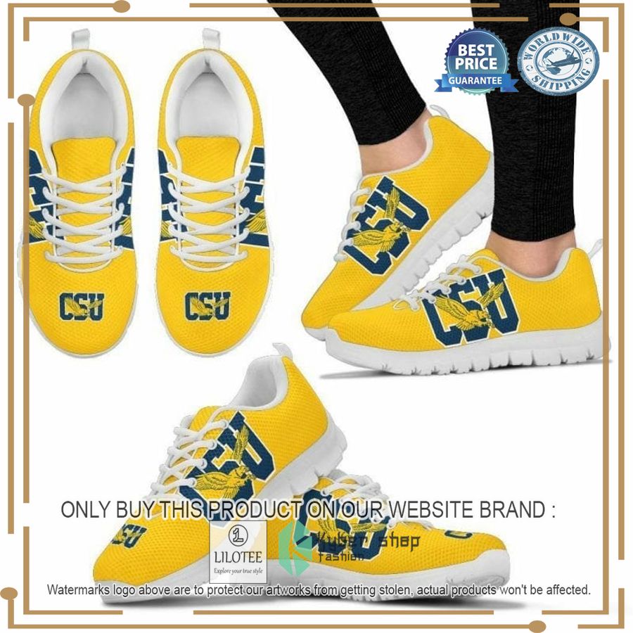 NCAA Coppin State Eagles Sneaker Shoes - LIMITED EDITION 9