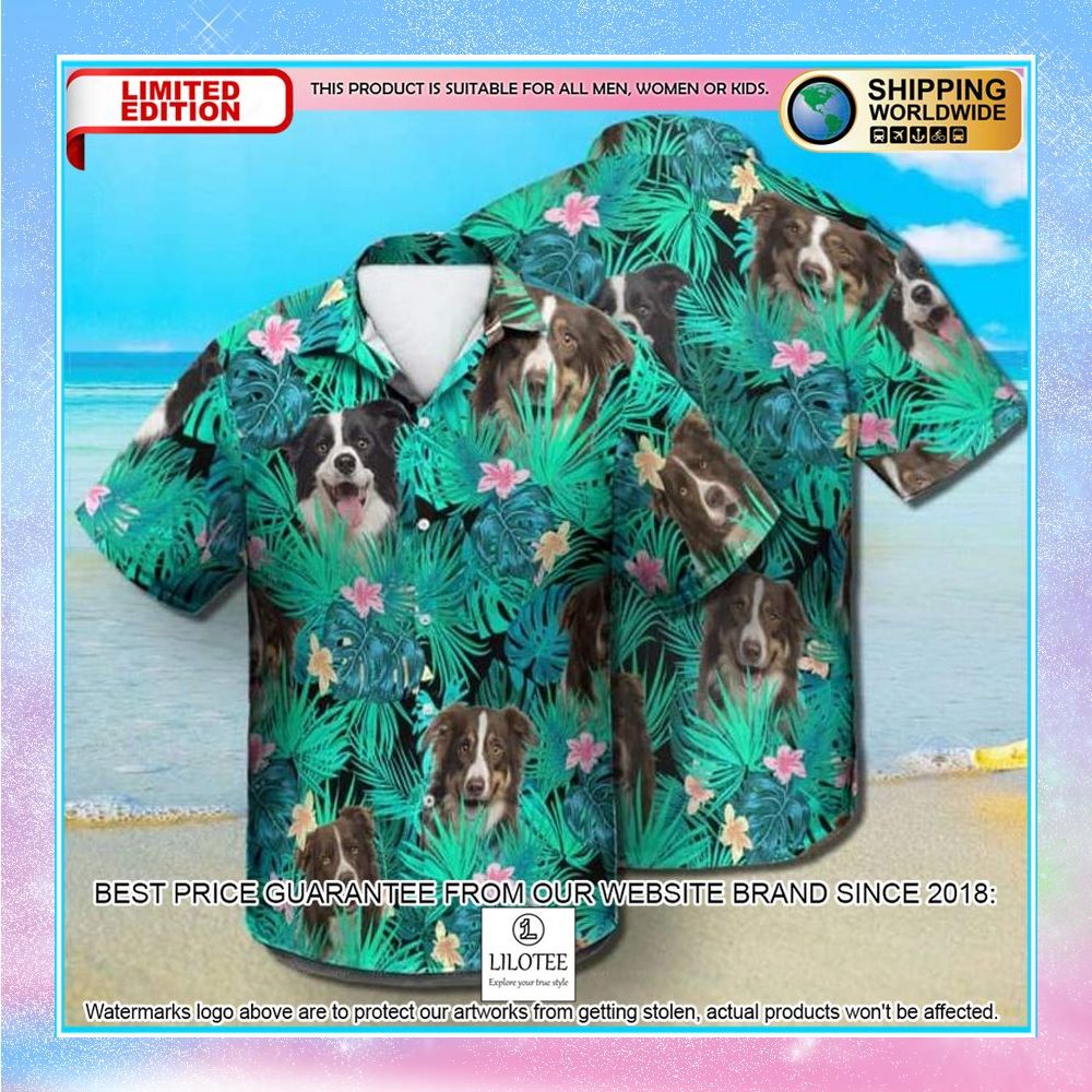 border collie summer leaves hawaiian shirt 1 407