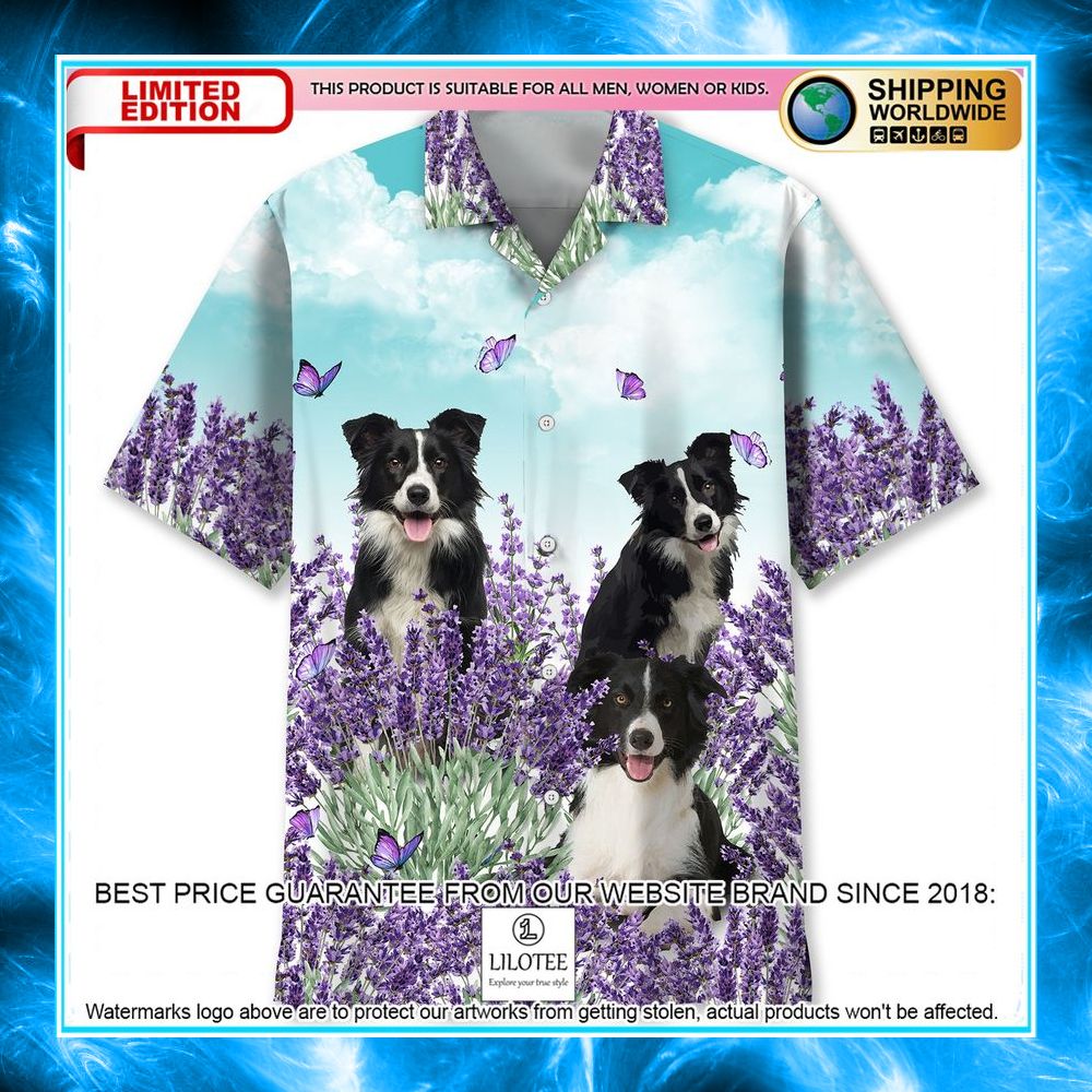 border collie lavender hawaiian shirt 1 536