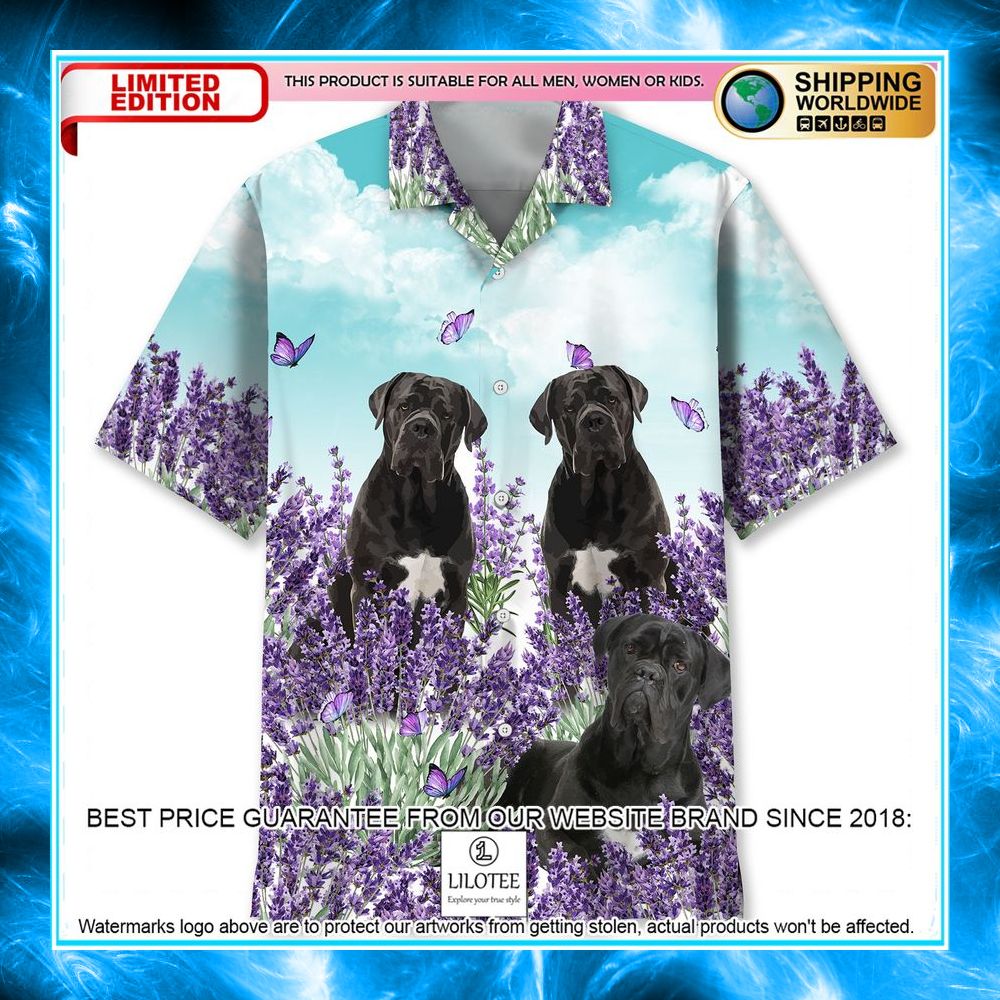 cane corso lavender hawaiian shirt 1 237